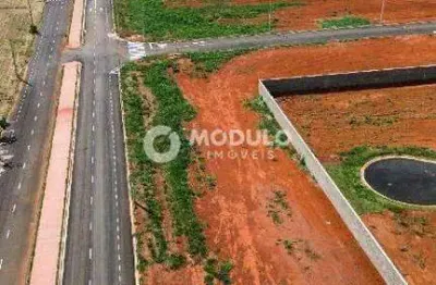 Terreno à venda na Avenida Palmeira Real, --, Novo Mundo, Uberlândia