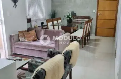 Apartamento à venda, 3 quartos, 1 suíte, 2 vagas, santa mônica - uberlândia/mg