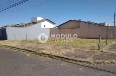 Terreno à venda na Rua José Ferreira Goulart, --, Alto Umuarama, Uberlândia