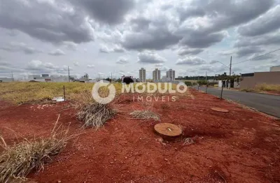 Terreno à venda, loteamento portal do vale ii - uberlândia/mg