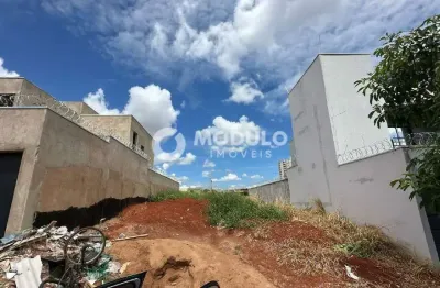 Terreno à venda na Maria Tavares Da Silva, --, Loteamento Portal do Vale II, Uberlândia