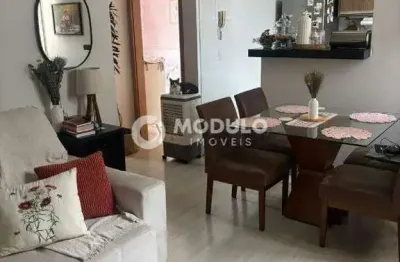 Apartamento à venda, 2 quartos, 1 vaga, shopping park - uberlândia/mg