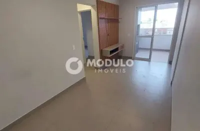 Apartamento à venda, 2 quartos, 1 suíte, 2 vagas, santa mônica - uberlândia/mg