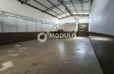 Barracão / Galpão / Depósito para alugar na Rua Padre Pio, --, Martins, Uberlândia
