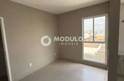 Apartamento à venda, 2 quartos, 1 suíte, 1 vaga, brasil - uberlândia/mg