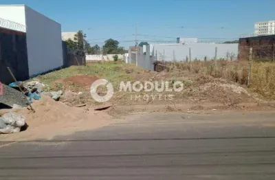 Terreno à venda na Rua Cleusa Maria Carolina, --, Jardim Canaã, Uberlândia