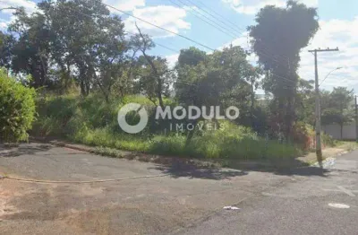 Terreno à venda na Alameda das Cartas Chilenas, --, City Uberlândia, Uberlândia