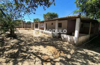 Chácara / sítio com 3 quartos para alugar na Rua Aparicio Ferreira, --, Morada Nova, Uberlândia