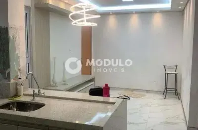 Apartamento à venda, 2 quartos, 1 vaga, shopping park - uberlândia/mg