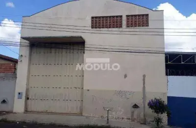 Galpão comercial disponível para locação no bairro custodio pereira.