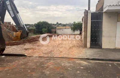 Terreno à venda na Rua Irene Rosa, --, Osvaldo Rezende, Uberlândia