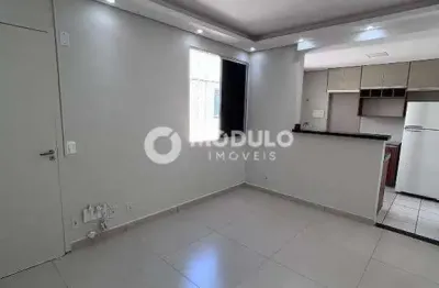 Apartamento à venda, 2 quartos, 1 suíte, 1 vaga, shopping park - uberlândia/mg