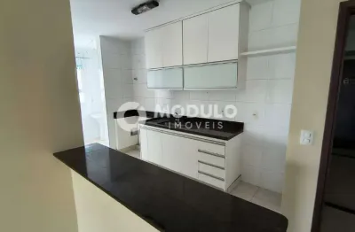 Apartamento disponível para locação no bairro santa monica.