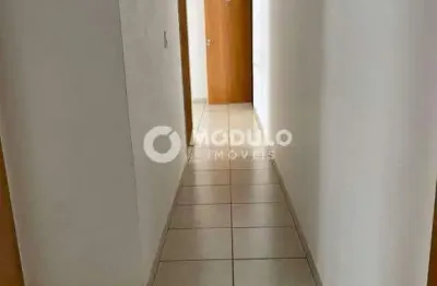 Apartamento à venda, 2 quartos, 1 vaga, jardim celia - uberlândia/mg
