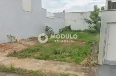 Terreno à venda na Rua Maria Cristina Rodrigues, --, Alto Umuarama, Uberlândia