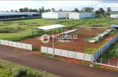 Terreno à venda, loteamento centro empresarial leste - uberlândia/mg