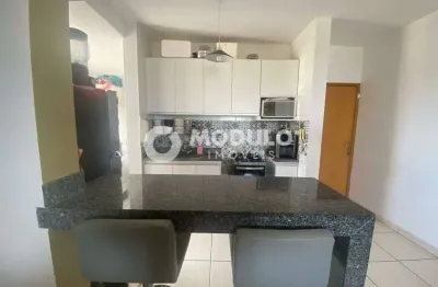 Apartamento à venda, 2 quartos, 1 vaga, maravilha - uberlândia/mg