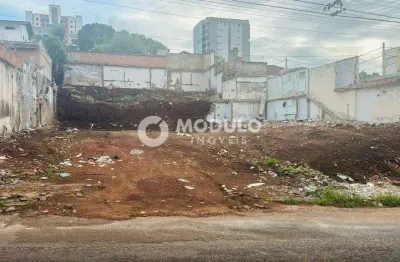Terreno à venda na Rua Doutor Lacerda, --, Lidice, Uberlândia