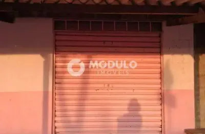 Casa residencial à venda, 2 quartos, 4 vagas, sao jorge - uberlândia/mg