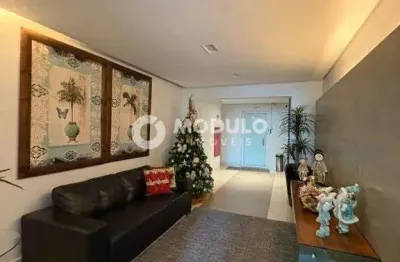 Apartamento à venda, 3 quartos, 3 suítes, 2 vagas, nossa senhora aparecida - uberlândia/mg