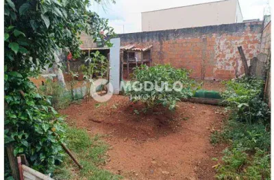 Casa residencial à venda, 3 quartos, 2 vagas, segismundo pereira - uberlândia/mg