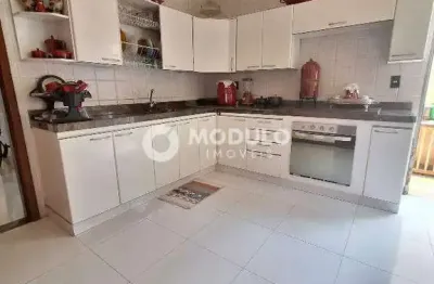 Casa com 3 quartos para alugar na Avenida Ortízio Borges, --, Santa Mônica, Uberlândia