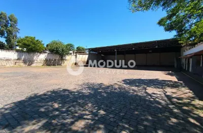 Barracão / Galpão / Depósito para alugar na Avenida Comendador Alexandrino Garcia, --, Marta Helena, Uberlândia