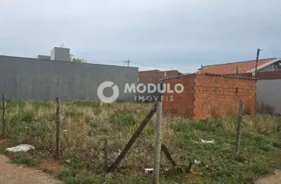 Terreno à venda, residencial fruta do conde - uberlândia/mg