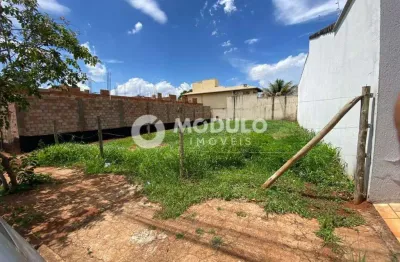 Terreno à venda na Rua Professora Maria Alves Castilho, --, Santa Mônica, Uberlândia