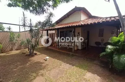 Casa com 5 quartos para alugar na Rua Geraldo Janones, --, Vigilato Pereira, Uberlândia