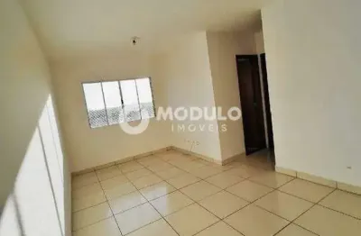 Apartamento à venda, 2 quartos, 1 vaga, jardim holanda - uberlândia/mg