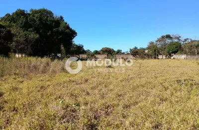 Terreno à venda na Rua Sibipiruna, --, Panorama, Uberlândia