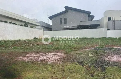 Terreno em condomínio fechado à venda na Avenida Vereador Carlito Cordeiro, --, Laranjeiras, Uberlândia