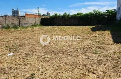 Terreno à venda na Rua Carvalho de Mendonça, --, Pampulha, Uberlândia