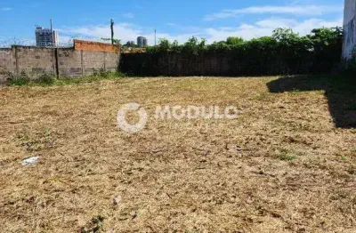 Terreno à venda na Avenida João Mendes, --, Pampulha, Uberlândia