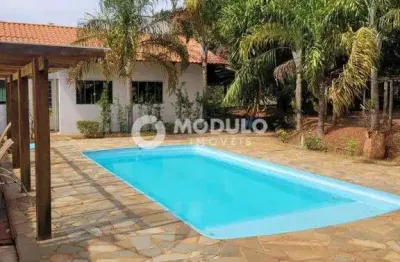 Casa em condomínio fechado com 3 quartos para alugar na Rua Bauhínia, --, Morada do Sol, Uberlândia