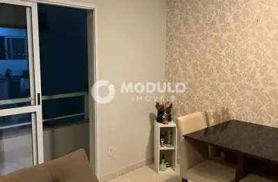 Apartamento à venda, 2 quartos, 1 suíte, 2 vagas, presidente roosevelt - uberlândia/mg