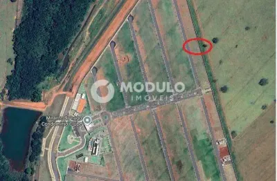 Terreno à venda na Rua Reinaldo Alves Da Rocha, --, Loteamento Portal do Vale II, Uberlândia