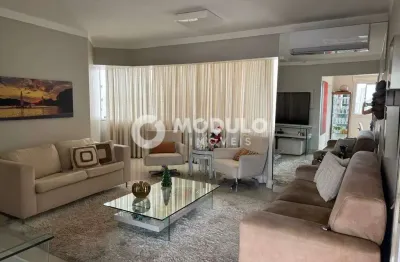 Apartamento à venda, 3 quartos, 1 suíte, 1 vaga, lidice - uberlândia/mg