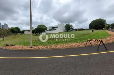 Terreno à venda na Avenida Paulo Gracindo, --, Gávea, Uberlândia