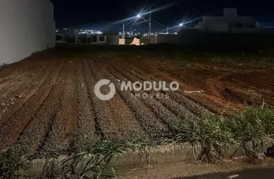Terreno à venda na Alameda Dos Javaes, --, Alto Umuarama, Uberlândia