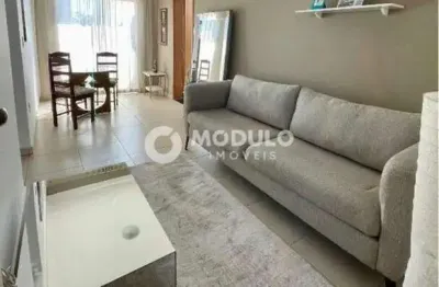 Apartamento disponível para locação no bairro Santa Mônica.