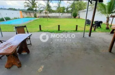 Chácara / sítio com 2 quartos para alugar na Rua José Rodrigues Soares, --, Morada Nova, Uberlândia