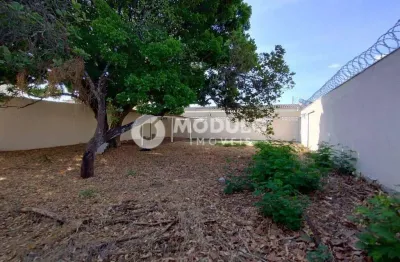 Terreno disponível para locação no bairro Osvaldo Rezende.