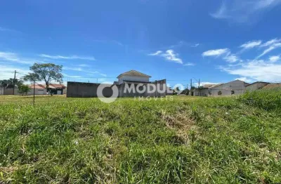 Terreno à venda na Avenida Alexandrino Alves Vieira, --, Santa Rosa, Uberlândia