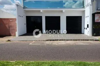 Casa com 3 quartos à venda na Avenida Babel, --, Jardim Canaã, Uberlândia