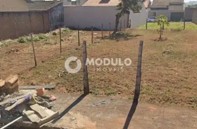 Terreno à venda na Rua Nestor Araújo da Silva, --, Santa Rosa, Uberlândia