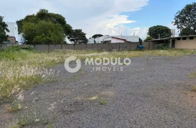 Terreno comercial para alugar na Avenida Bélgica, --, Tibery, Uberlândia