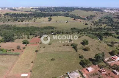 Terreno à venda na Avenida José Andraus Gassani, --, Parque das Andorinhas, Uberlândia