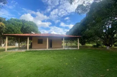 Chácara / sítio para alugar na comunidade povoado tapuia, socopo, teresina